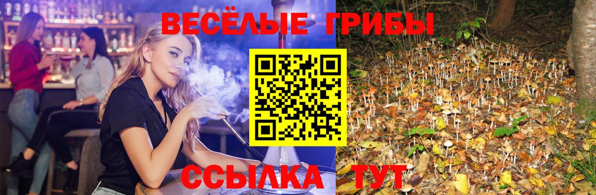 Галлюциногенные грибы мицелий Тавда