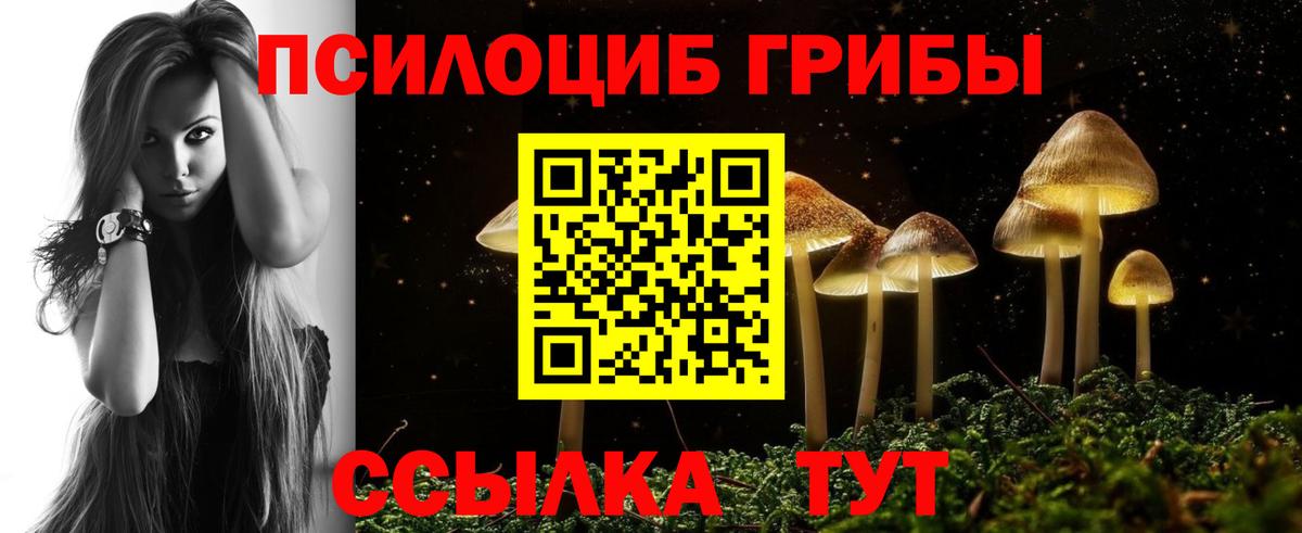 Псилоцибиновые грибы мухоморы  Вход с VPN  Тавда 