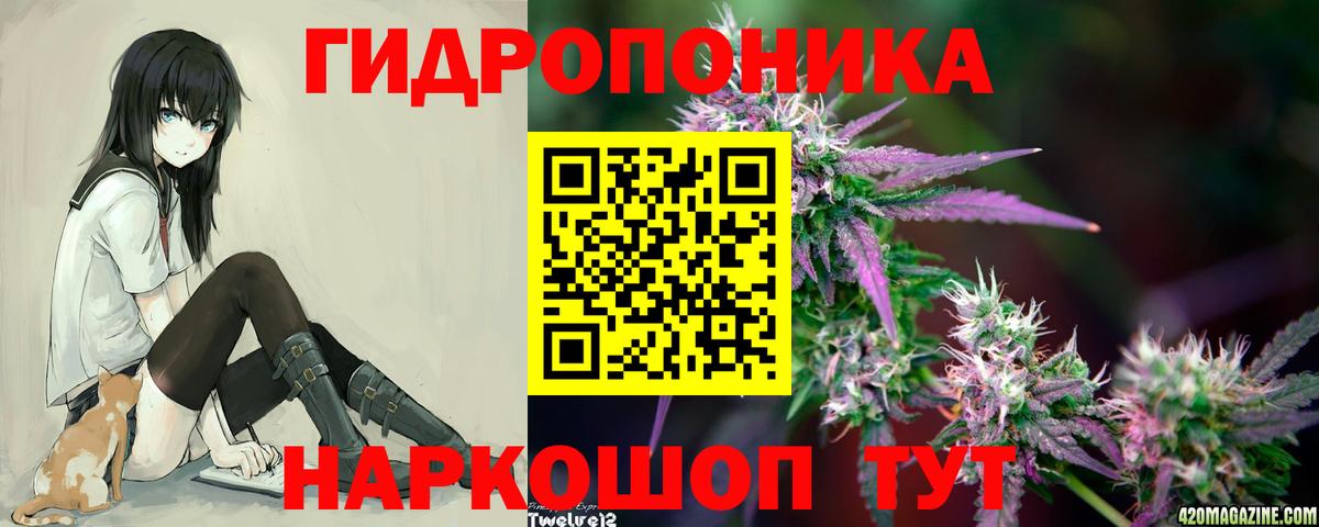 Канабис MAZAR Тавда